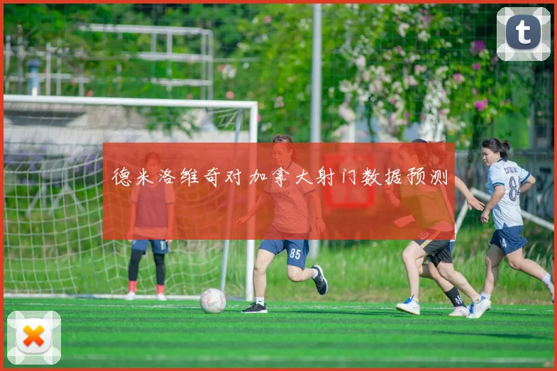 德米洛维奇对加拿大射门数据预测