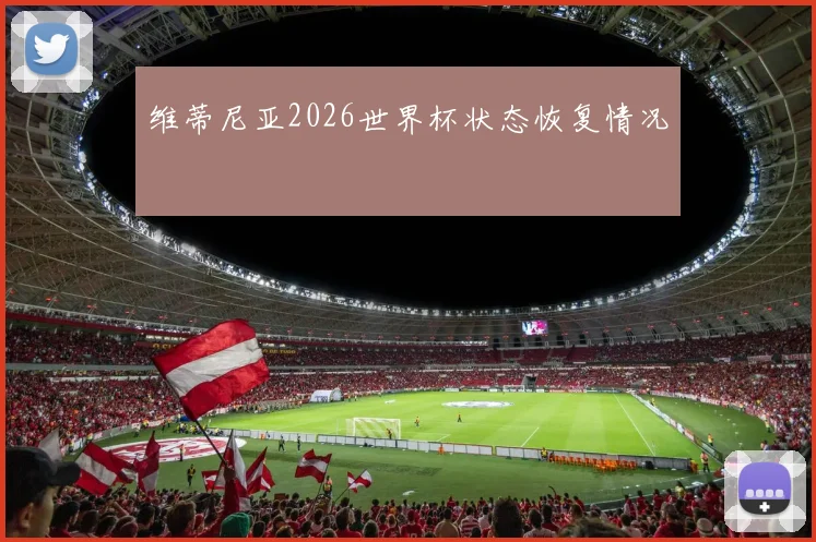 维蒂尼亚2026世界杯状态恢复情况