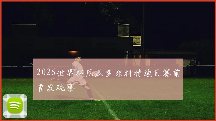 2026世界杯厄瓜多尔科特迪瓦赛前首发观察