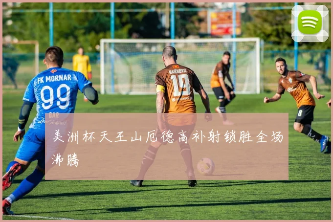 美洲杯天王山厄德高补射锁胜全场沸腾