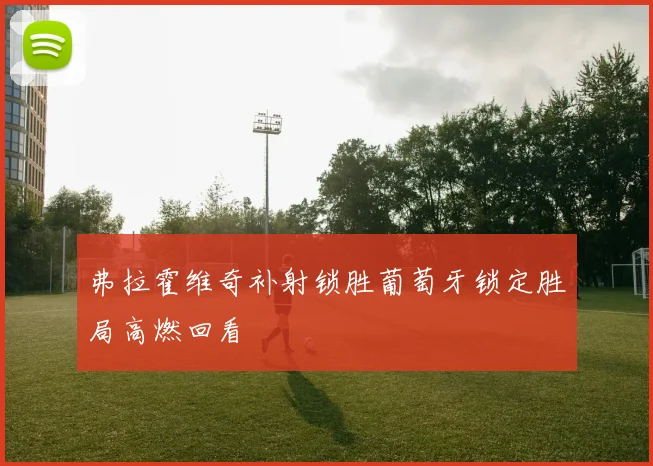 弗拉霍维奇补射锁胜葡萄牙锁定胜局高燃回看