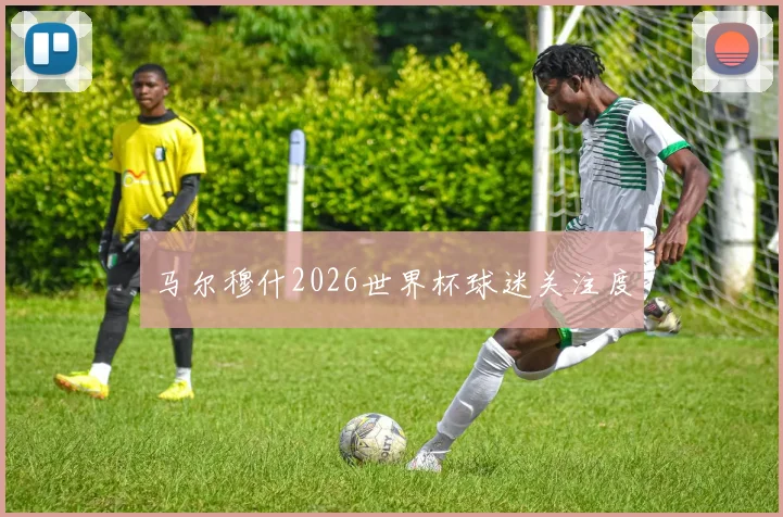 马尔穆什2026世界杯球迷关注度