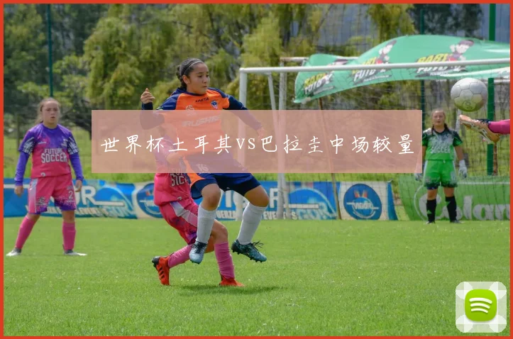 世界杯土耳其vs巴拉圭中场较量