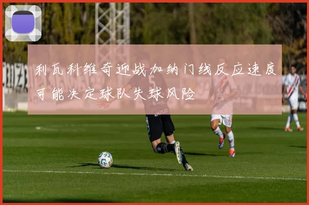 利瓦科维奇迎战加纳门线反应速度可能决定球队失球风险
