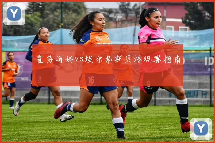 霍芬海姆vs埃尔弗斯贝格观赛指南